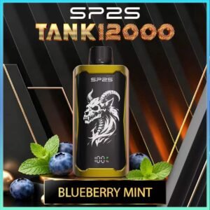 SP2S TANK 12000 Puffs Blueberry mint Disposable Vape